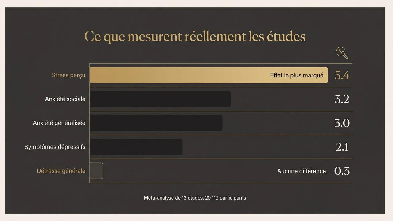 Infographie des effets mesurés par une méta-analyse de 13 études sur 20 119 participants : stress perçu le plus marqué, puis anxiété sociale, anxiété généralisée et symptômes dépressifs, la détresse générale ne différant pas