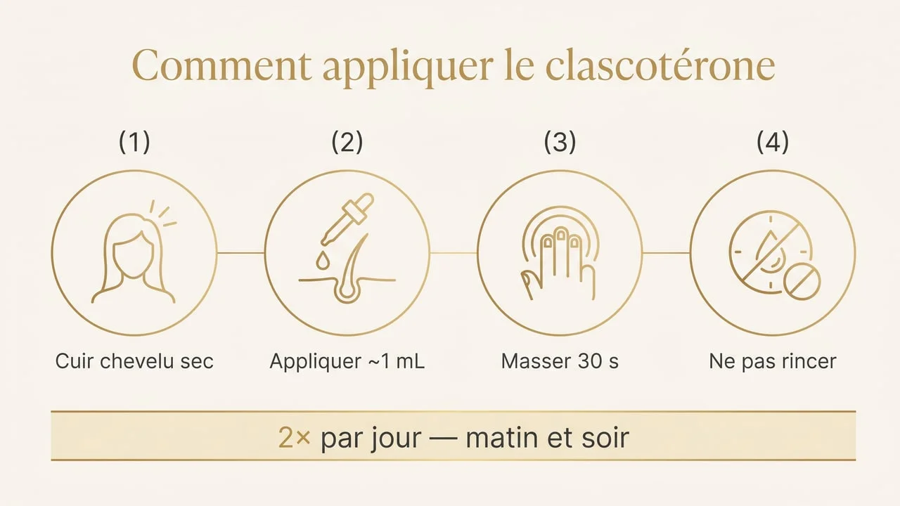 Infographie des étapes d'application du clascotérone : cuir chevelu sec, application, massage, ne pas rincer, deux fois par jour