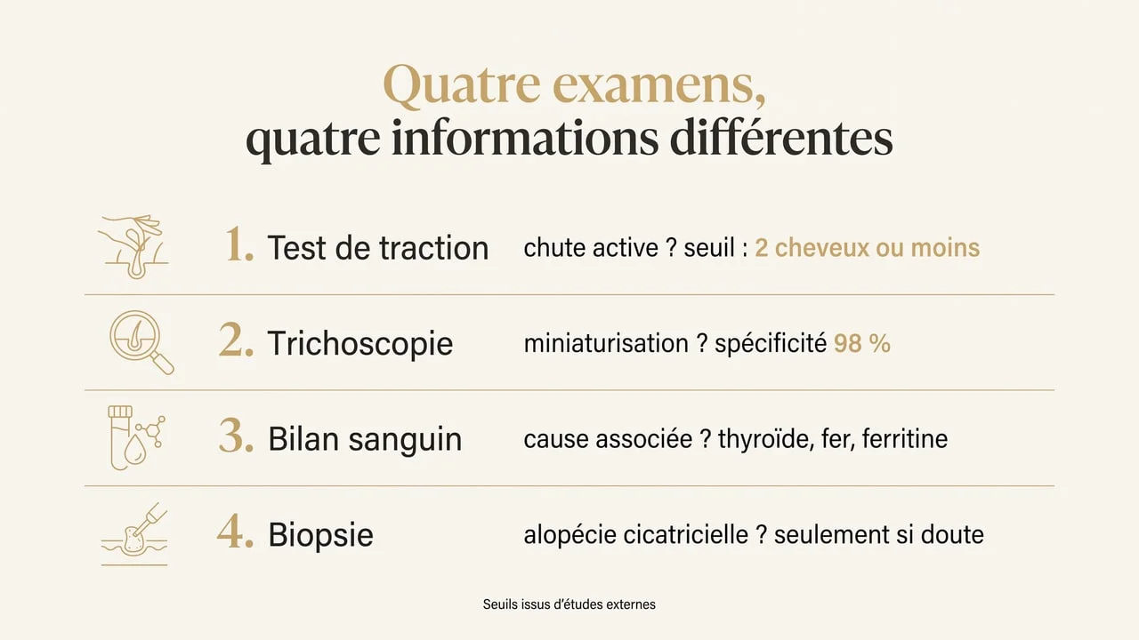 Infographie des quatre examens du diagnostic d'une chute de cheveux : test de traction avec un seuil de deux cheveux, trichoscopie de spécificité 98 %, bilan sanguin thyroïde et ferritine, biopsie réservée aux cas douteux