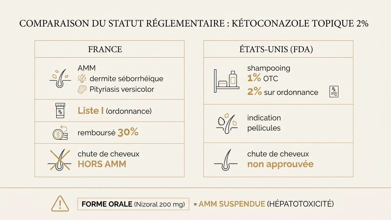 Infographie comparant le statut réglementaire du kétoconazole topique en France et aux États-Unis, et rappelant la suspension de la forme orale.