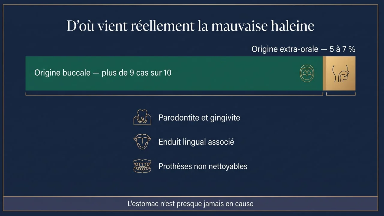 Infographie montrant que la mauvaise haleine est d'origine buccale dans plus de neuf cas sur dix et d'origine extra-orale dans cinq à sept pour cent des cas seulement