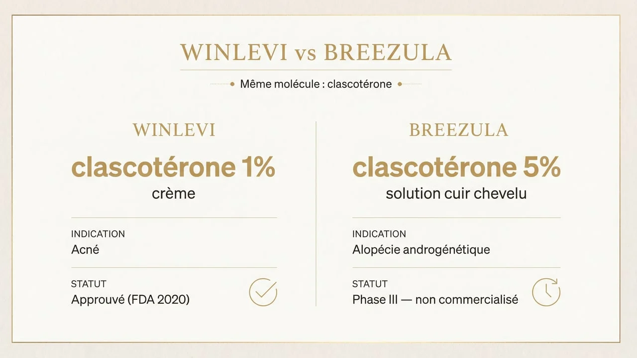 Tableau comparatif Winlevi (acné, 1 %) et Breezula (alopécie, 5 %) — même molécule clascotérone